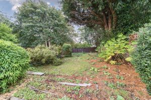 Rear garden shot 3- click for photo gallery